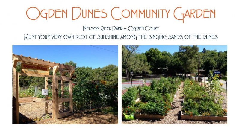 Ogden Dunes Community Garden. Nelson Reck Park - Ogden Court. Rent your very own plot of sunshine among the singing sands of the dunes