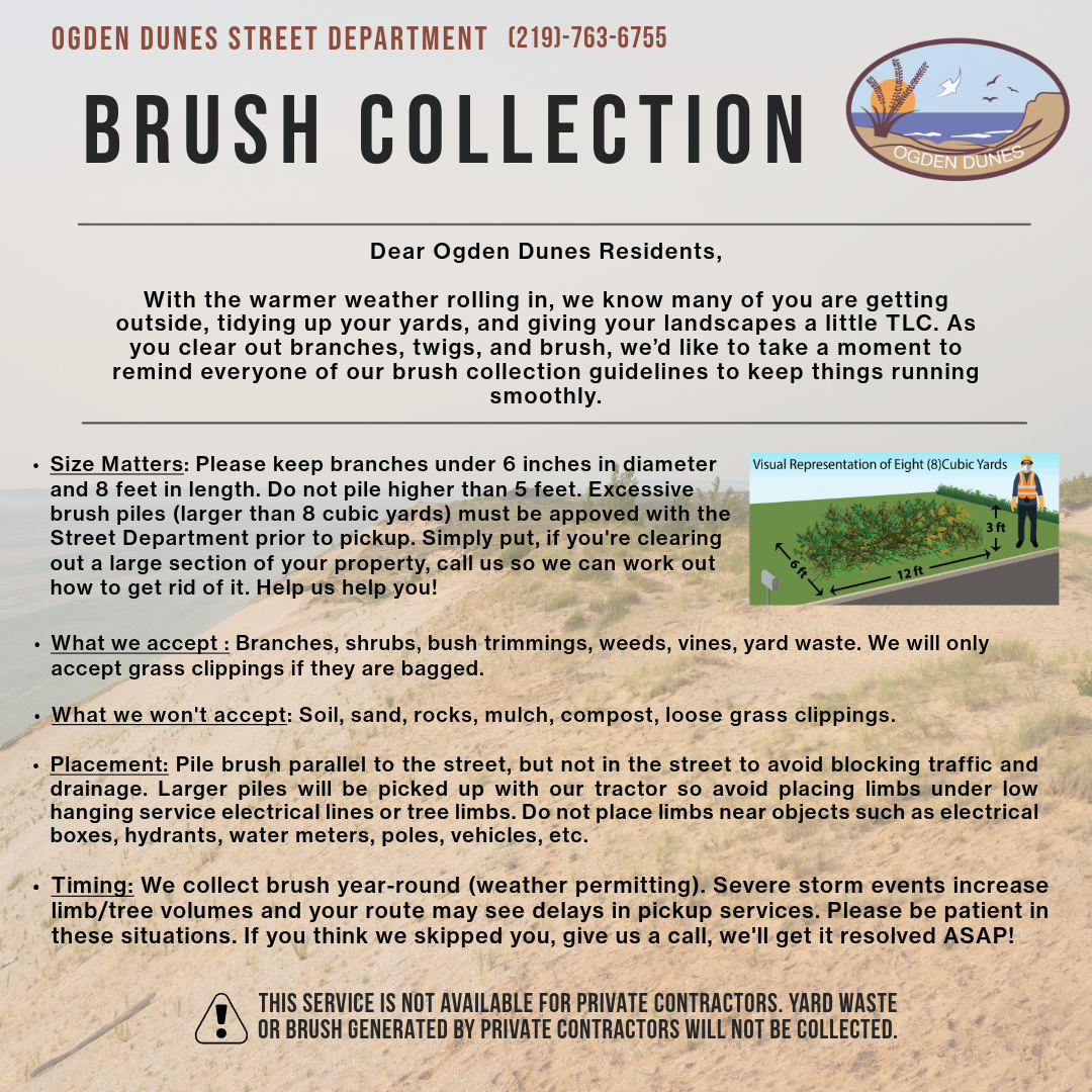 Brush