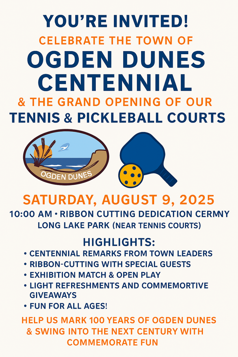 Pickle ball